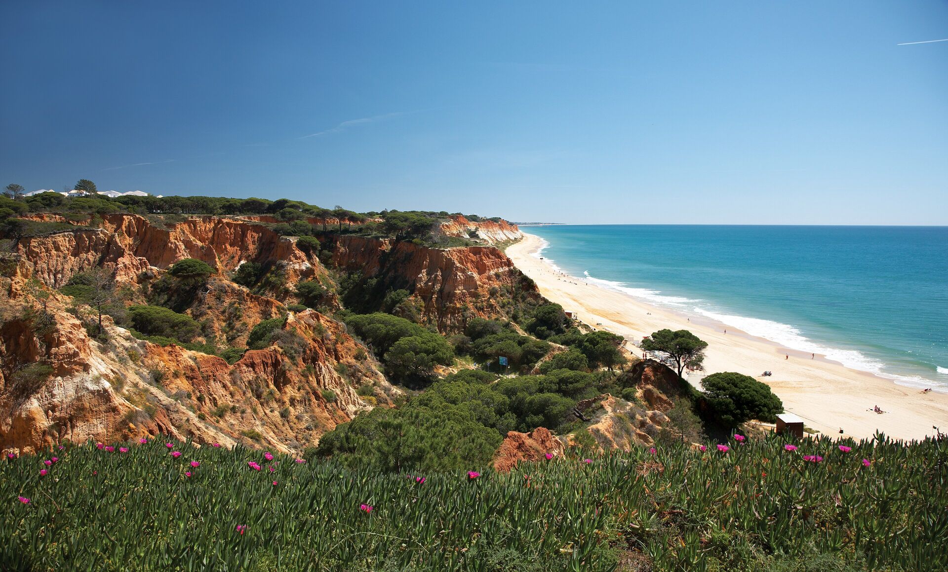 The red cliffs and pine trees of Praia da Falésia running down to a long sand beach and turquoise sea